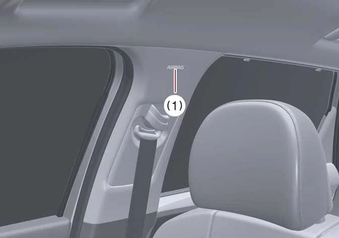 Roof rail curtain airbag deployment zone above front doors in a Kia Sorento