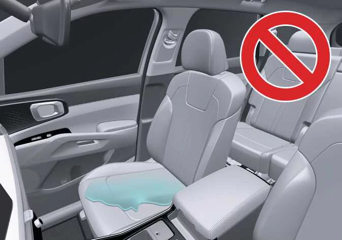 Warning illustration against using thick seat pads, electronic devices, or spilling fluids on the passenger seat