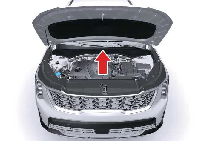 Unclipping and setting up the engine hood prop support rod on the Kia Sorento
